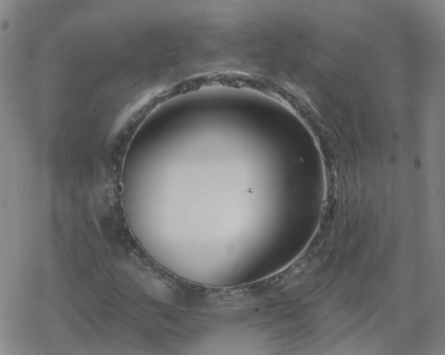 X0000069361159200605192051