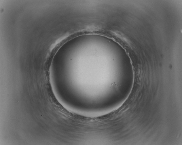 X0000069361160200605192051