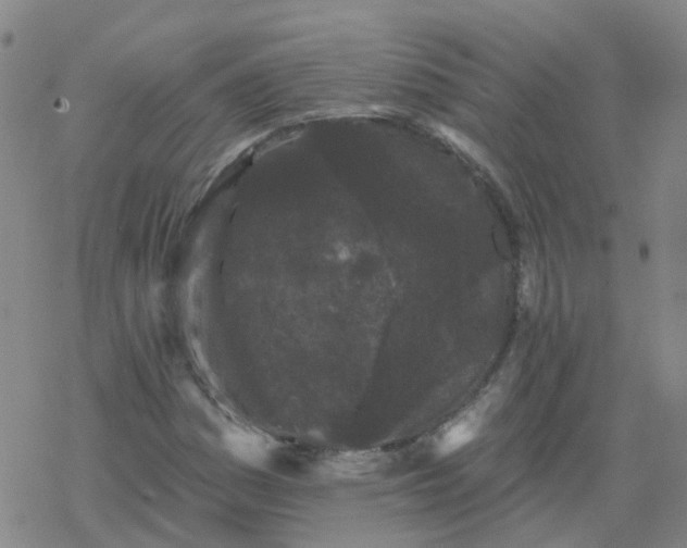 X0000069361161200605192051