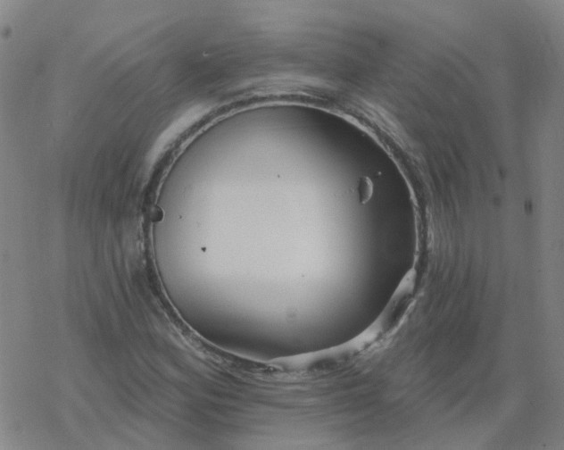 X0000069361164200605192051