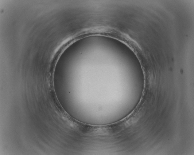 X0000069361166200605192051