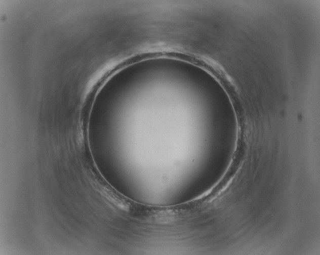 X0000069361167200605192051