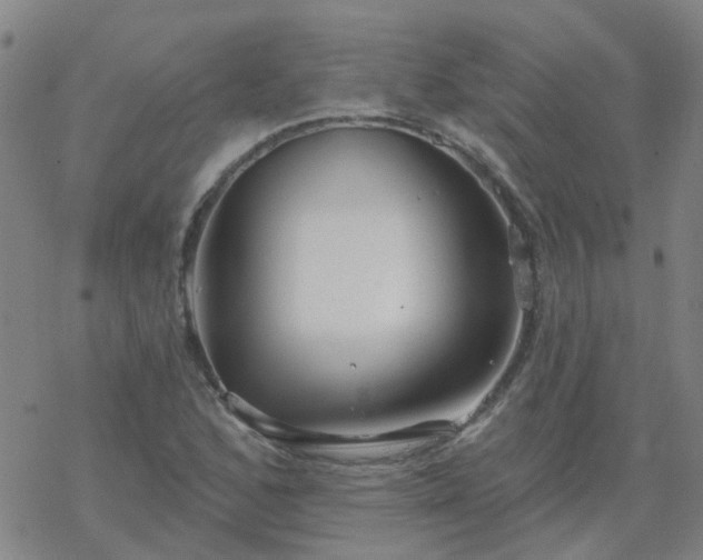 X0000069361168200605192051