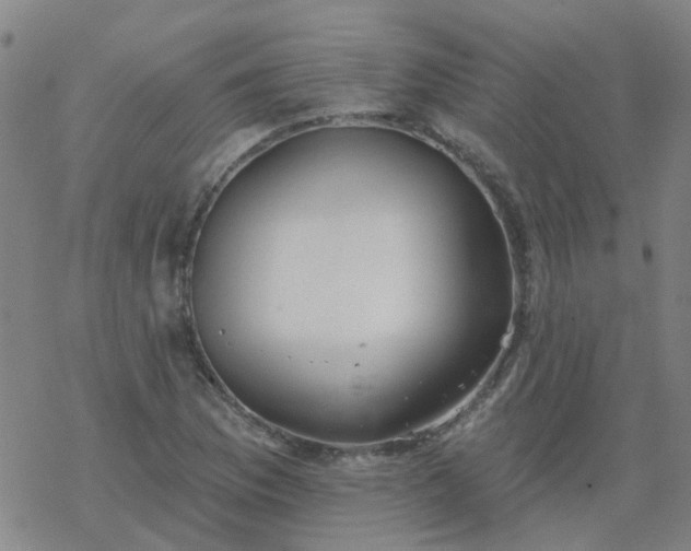 X0000069361169200605192051