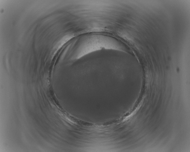 X0000069361170200605192051