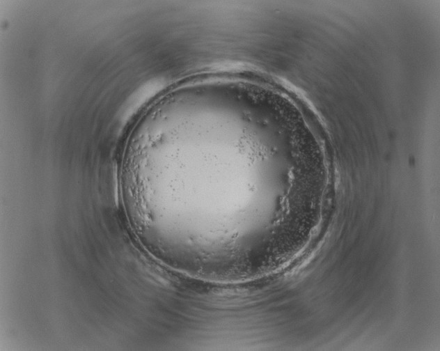 X0000069361171200605192051