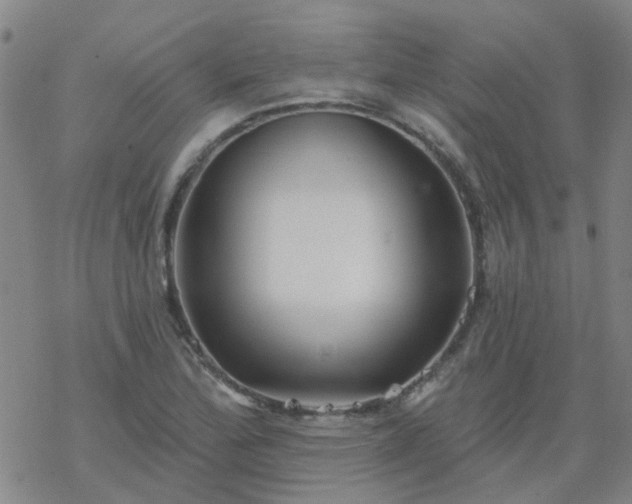 X0000069361172200605192051