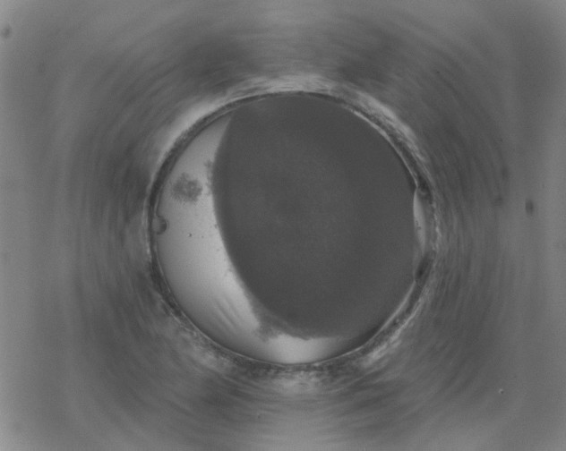 X0000069361174200605192051