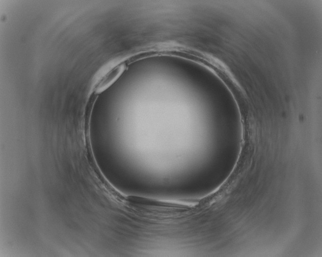 X0000069361176200605192051