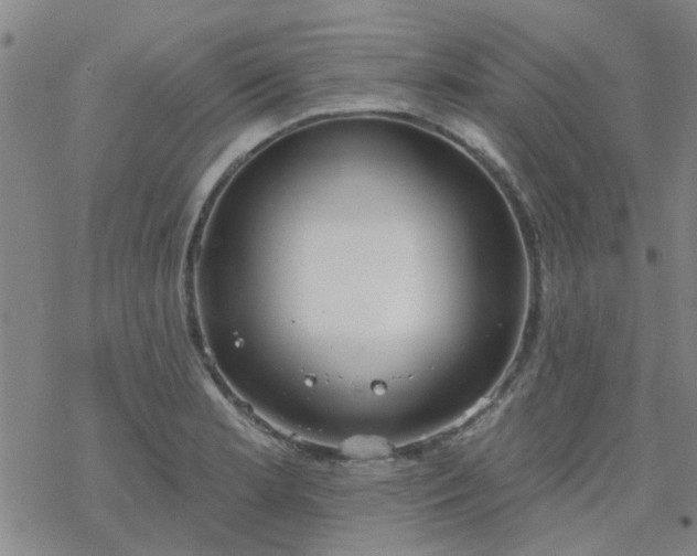 X0000069361181200605192050