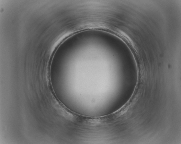 X0000069361182200605192050