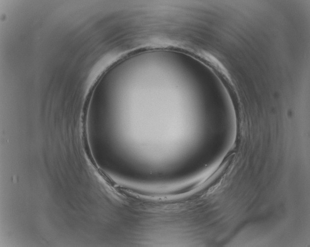 X0000069361183200605192050