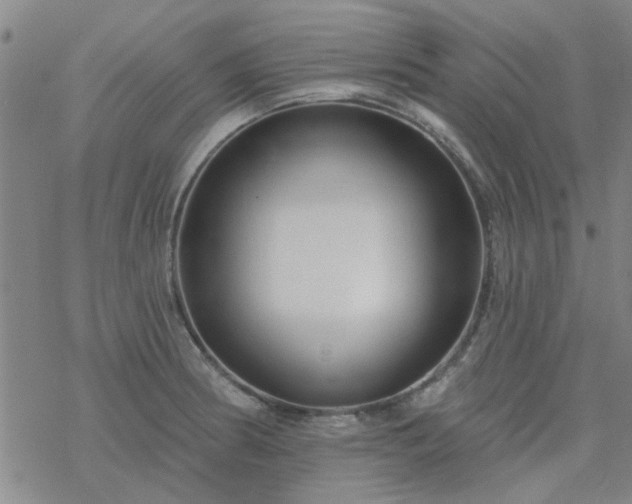 X0000069361186200605192050