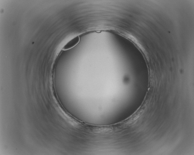 X0000069361187200605192050