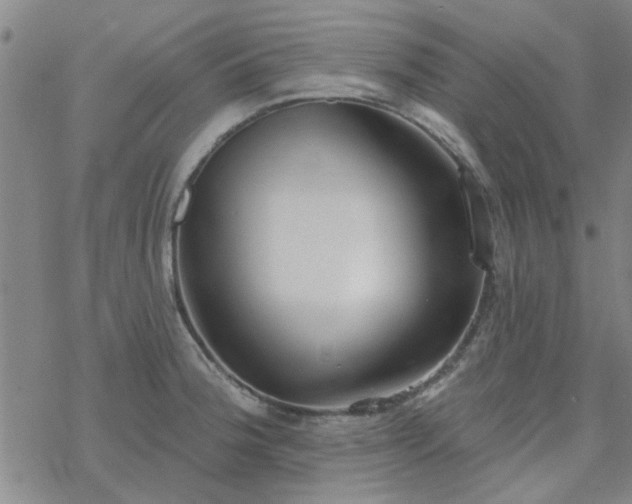 X0000069361188200605192050