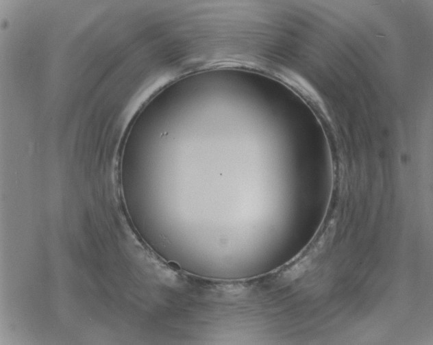 X0000069361190200605192050