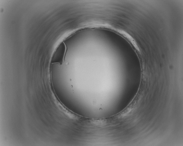 X0000069361191200605192050