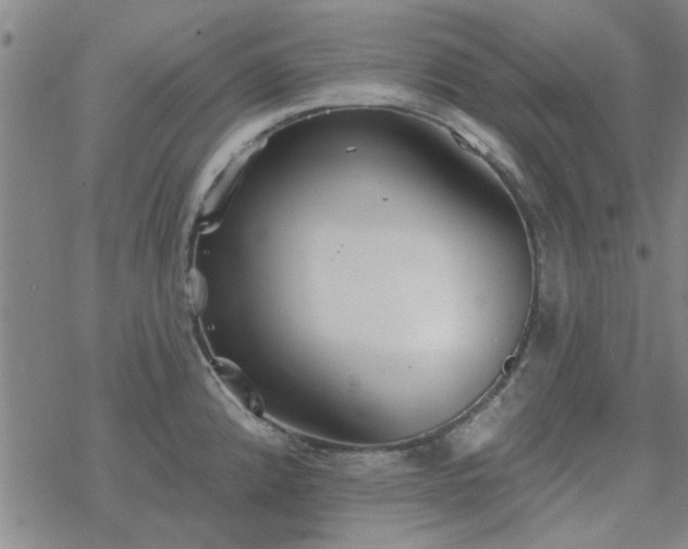 X0000069361192200605192050