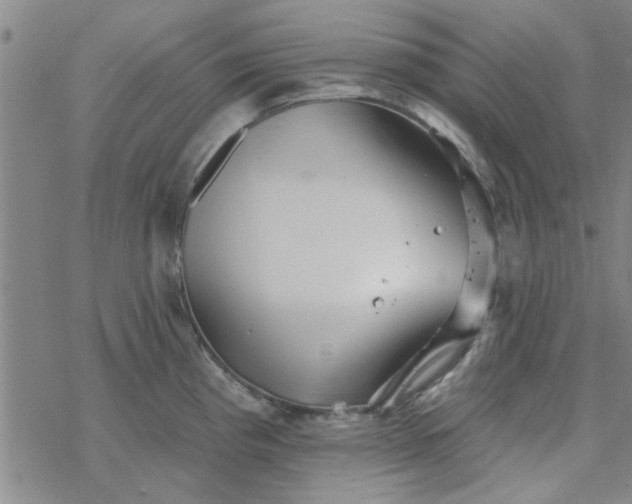 X0000069361193200605192050