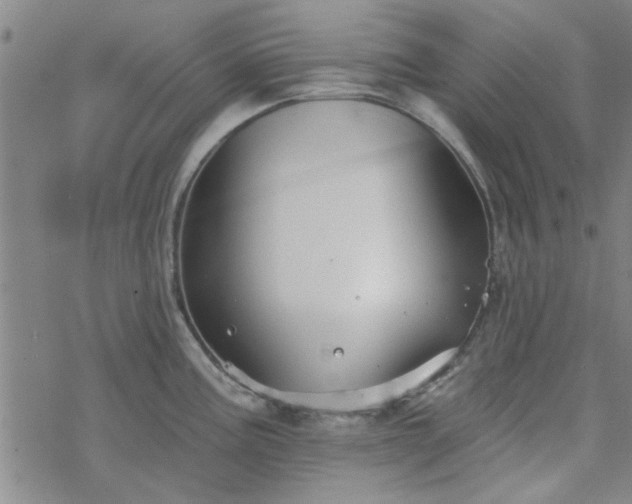 X0000069361195200605192050