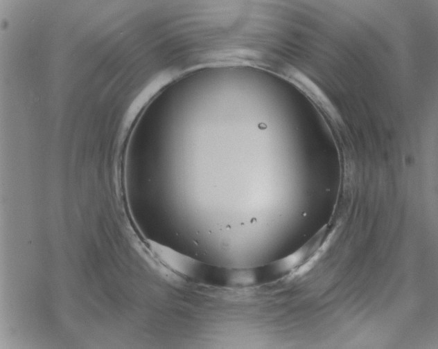 X0000069361196200605192050