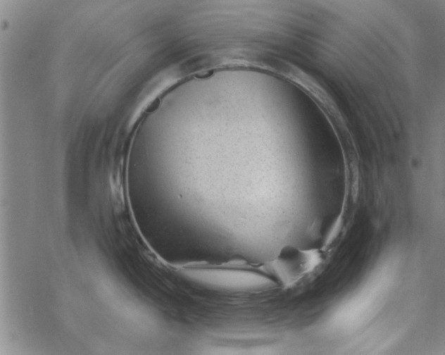 X0000069361198200605192050