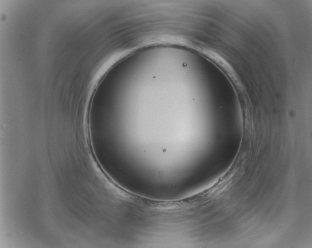 X0000069361199200605192050