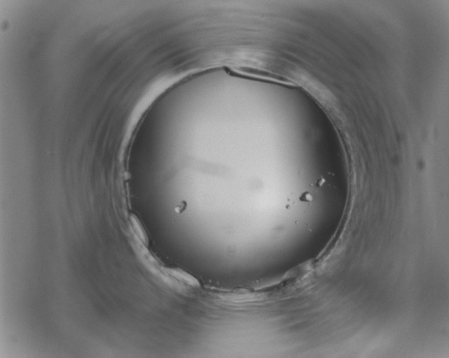 X0000069361200200605192050