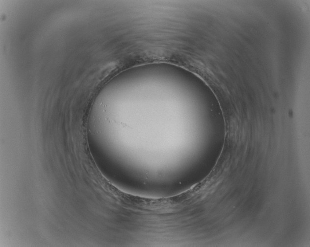 X0000069361201200605192049