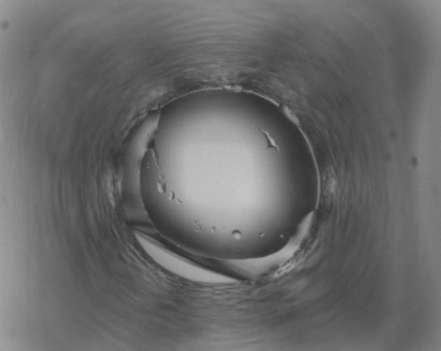 X0000069361202200605192049