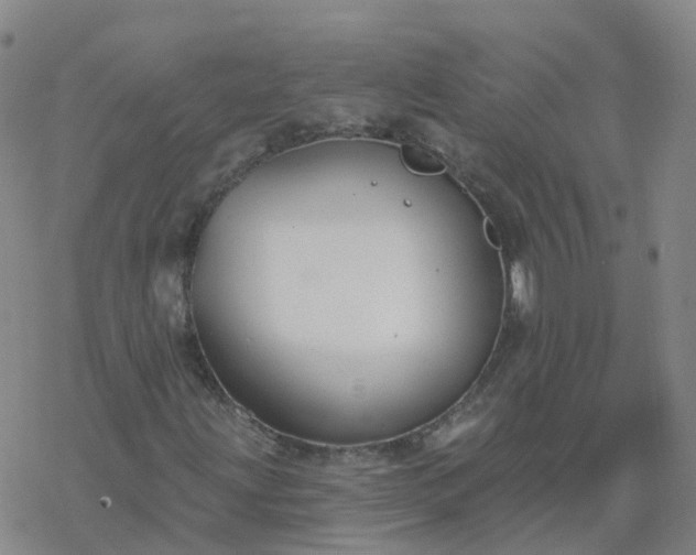 X0000069361203200605192049