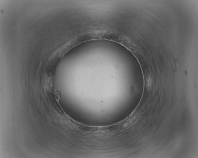 X0000069361204200605192049