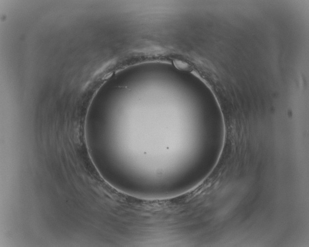 X0000069361205200605192049