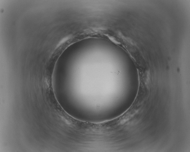 X0000069361206200605192049