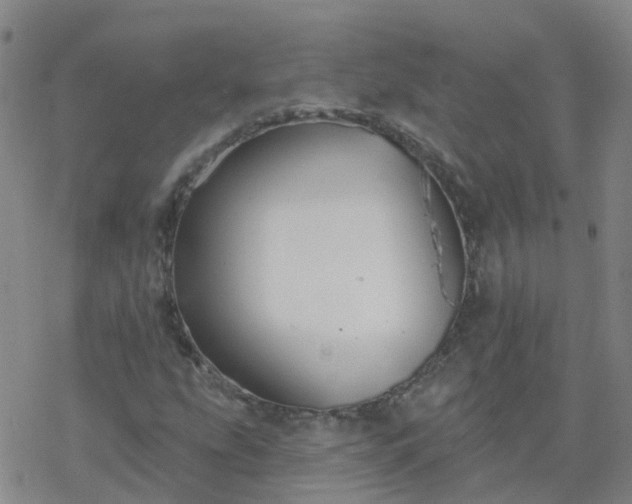 X0000069361207200605192049