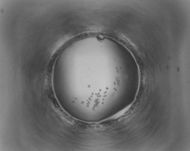 X0000069361208200605192049