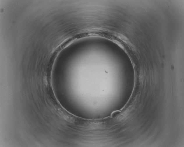 X0000069361209200605192049