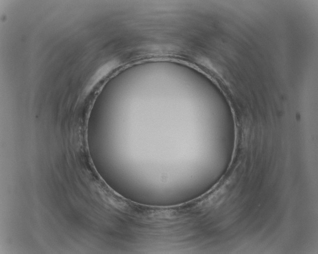 X0000069361211200605192049