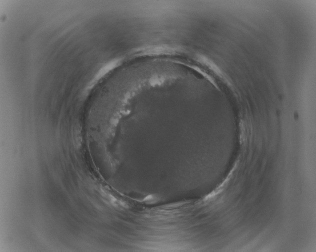 X0000069361213200605192050