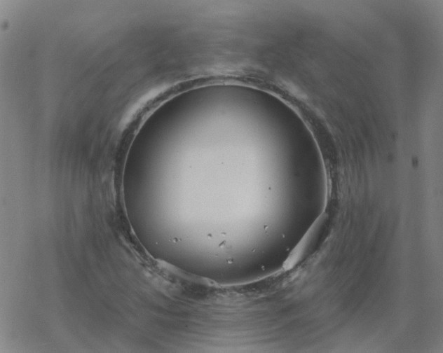 X0000069361214200605192050