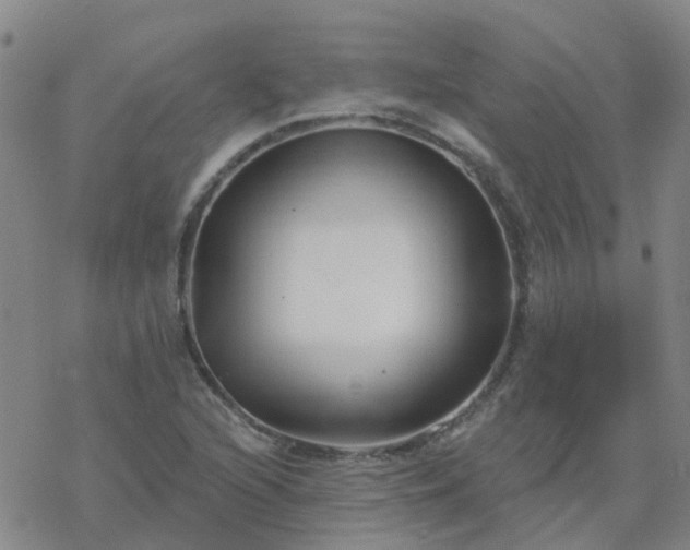 X0000069361216200605192050