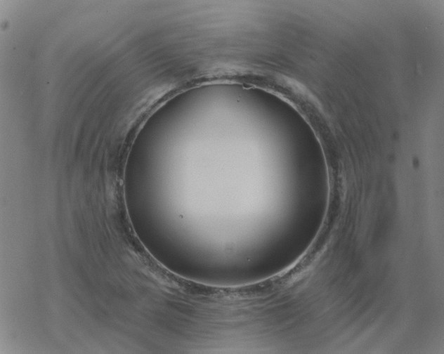 X0000069361217200605192050