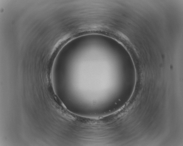 X0000069361218200605192050