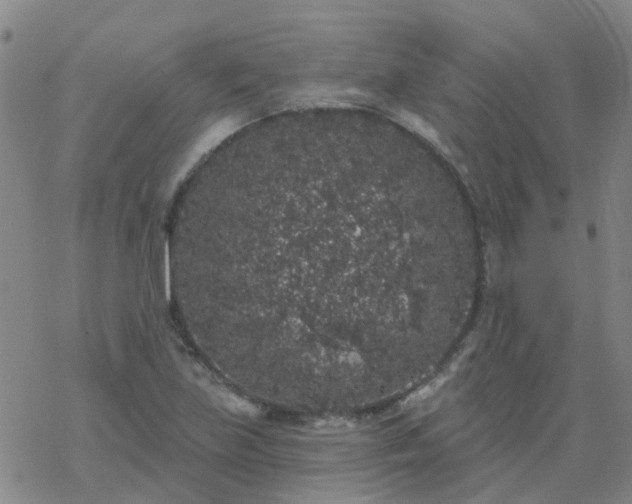 X0000069361219200605192050