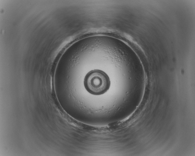 X0000069361221200605192050