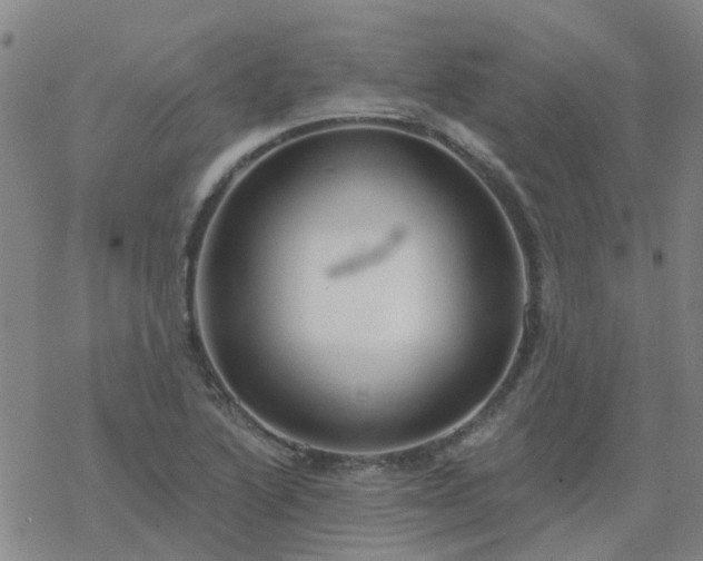 X0000069361222200605192050