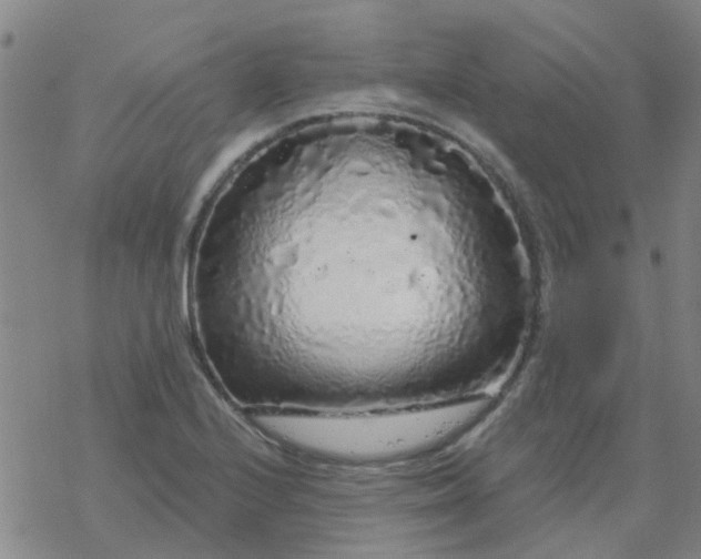 X0000069361224200605192050