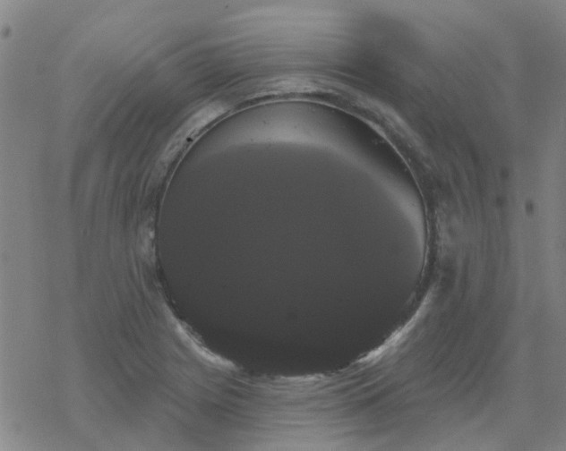 X0000069361225200605192050