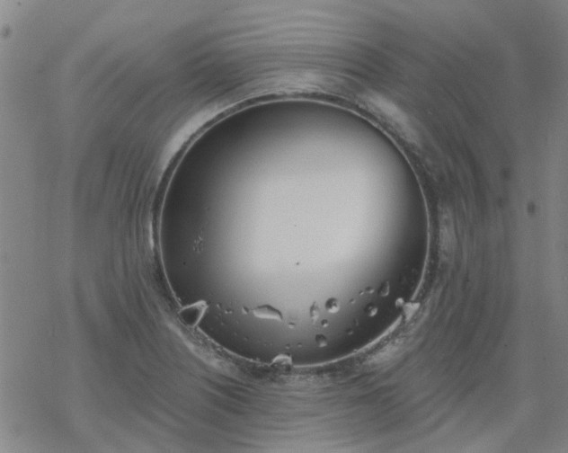 X0000069361226200605192050