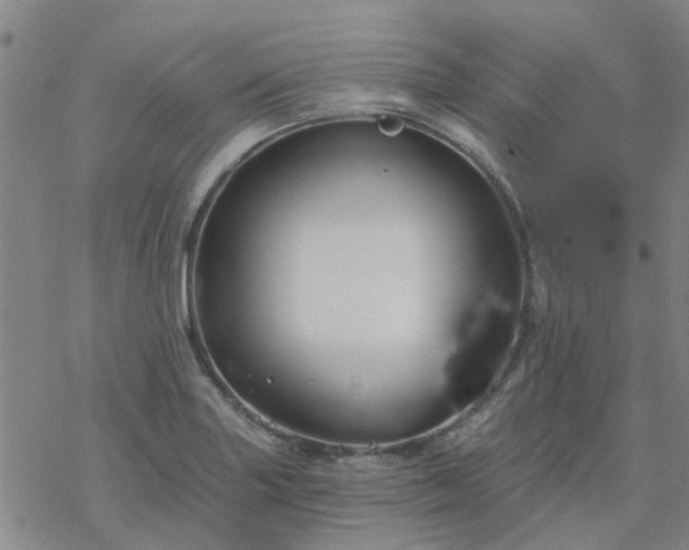 X0000069361227200605192050